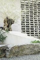 Olive tree in stone pebble garden photo