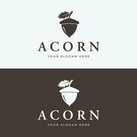 Acorn logo template design with branching vintage oak leaves.Logo for forest, business, vector. vector