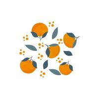 Beautiful summer oranges design pattern. summer pattern vector