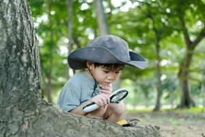 asiático chico vistiendo un sombrero en un bosque exploración traje utilizar un aumentador vaso a encuesta el árbol área. foto