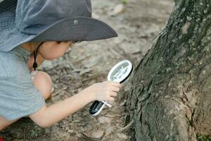 Asian boy wearing a hat in a forest exploration suit Use a magnifying glass to survey the tree area. photo