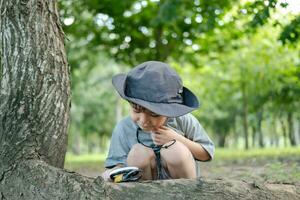 asiático chico vistiendo un sombrero en un bosque exploración traje utilizar un aumentador vaso a encuesta el árbol área. foto