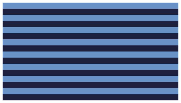 Blue striped seamless pattern. Striped background. Vector illustration. Flag of the city of Salvador, Bahia, UK, US.
