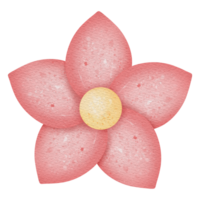 Red flower illustration png