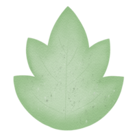 Green leaf illustration png