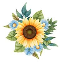 Floral arrangement of sunflowers and blue forget-me-nots on an isolated background. Bouquet of wild and agricultural flowers. vector