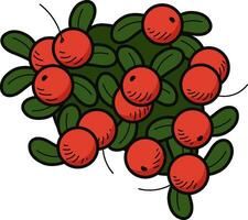 Cranberries Stickers Illustration for web app, infographic etc vector