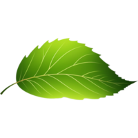 Abstract green leaf. AI Generative png