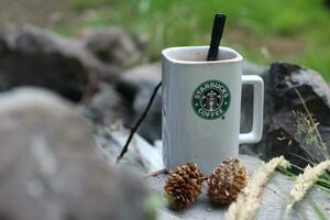 Washington, USA - January 13 2023  Starbucks Coffee Mug Placed on rocks around a camping campfire with pine cones and reeds photo