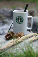 Washington, USA - January 13 2023  Starbucks Coffee Mug Placed on rocks around a camping campfire with pine cones and reeds photo