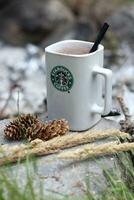 Washington, Estados Unidos - enero 13 2023 Starbucks café jarra metido en rocas alrededor un cámping hoguera con pino conos y cañas foto