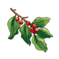 Branch of mistletoes illustrations, ai generative png