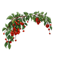 Branch of mistletoes illustrations, ai generative png