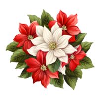 poinsettias illustrations, ai génératif png