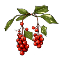 Branch of mistletoes illustrations, ai generative png