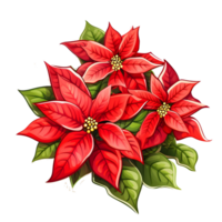 Poinsettias illustrations, ai generative png