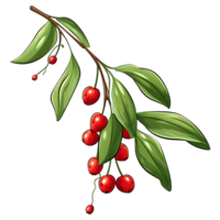 Branch of mistletoes illustrations, ai generative png