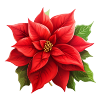 Poinsettias illustrations, ai generative png