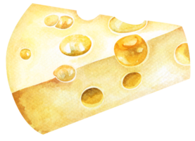 Cheese painted with watercolors.Dairy product for kitchen, menu, cook book, recipe, restaurant. png