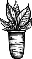 black and white illustration of a pot with plant. photo