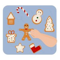 Christmas gingerbread with multicolored glaze. Snowman, candy, house, mitten and sock, gingerbread man, gift, Christmas tree. vector illustration. The process of making cookies