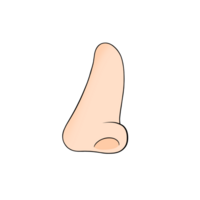 nose body part png