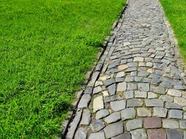 cobblestone path in the park photo