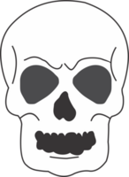 The skeleton  PNG