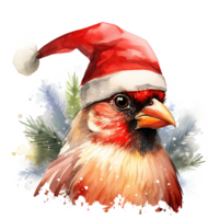 Cardinal Bird Wearing Santa Hat For Christmas Event. Watercolor Style. AI Generated png