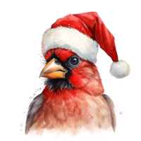 Cardinal Bird Wearing Santa Hat For Christmas Event. Watercolor Style. AI Generated png