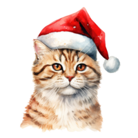 Cat Wearing Santa Hat For Christmas Event. Watercolor Style. AI Generated png