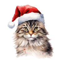 gatto indossare Santa cappello per Natale evento. acquerello stile. ai generato png