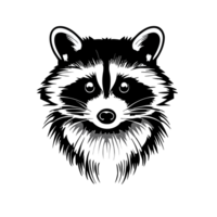 Waschbär transparent Hintergrund, ai generativ png