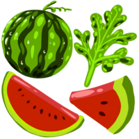 uppsättning vattenmelon element png