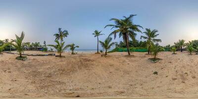 360 hdri panorama with coconut trees on ocean coast in equirectangular spherical seamless projection photo