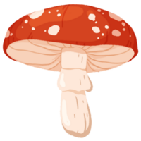 super big mushroom png