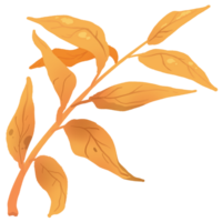 the yellow leaf png