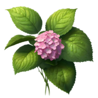 A painting of Hydrangea flower and leaves. AI-Generated. png