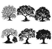 silueta árbol vector conjunto