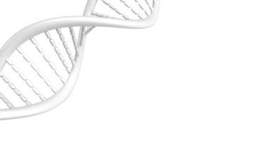 el adn imagen para ciencia o educación concepto 3d representación png