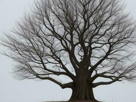 árbol hermosa cerca arriba imagen ai generado foto