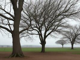 tree beautiful close up image ai generated photo