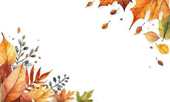 Autumn leaf background watercolor vector