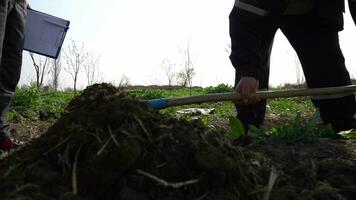 man planting a tree in the garden video