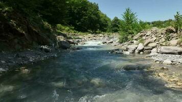 beautiful view of nature scene video