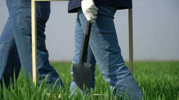 man in field with a shovel video