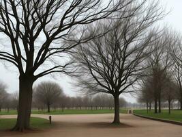 tree beautiful close up image ai generated photo