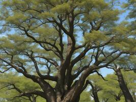 árbol hermosa cerca arriba imagen ai generado foto