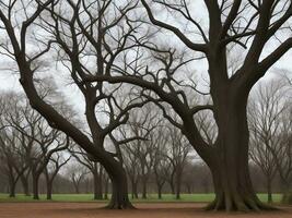 tree beautiful close up image ai generated photo