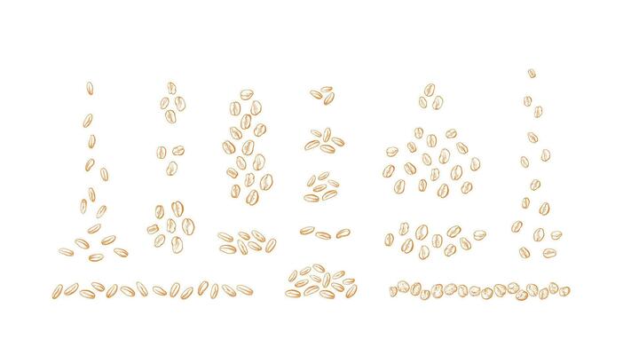 Grain set Oat, wheat graphic seeds Vector outline